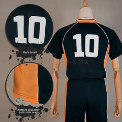 Astricos Anime Hinata Shouyou Cosplay Costume Wig Jerseys NO.10 Karasuno High School Volleyball Uniform Top Short Daily Wear - Astricos