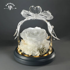 Astricos Timeless Preserved Rose Glass Dome Heart-Shaped Bouquet - Exquisite Valentine's Day Gift for Her - Astricos