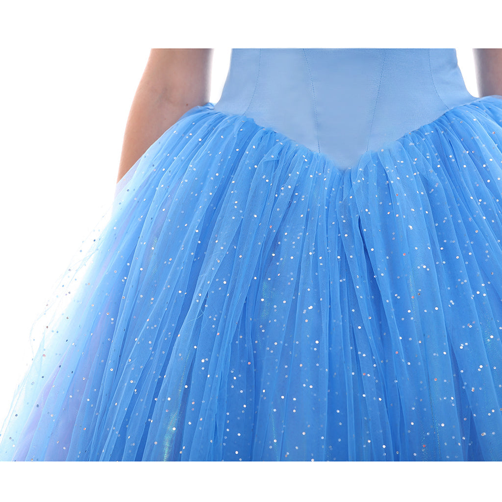 Astricos Disney Cinderella Cosplay Costumes - Experience the Magic - Astricos