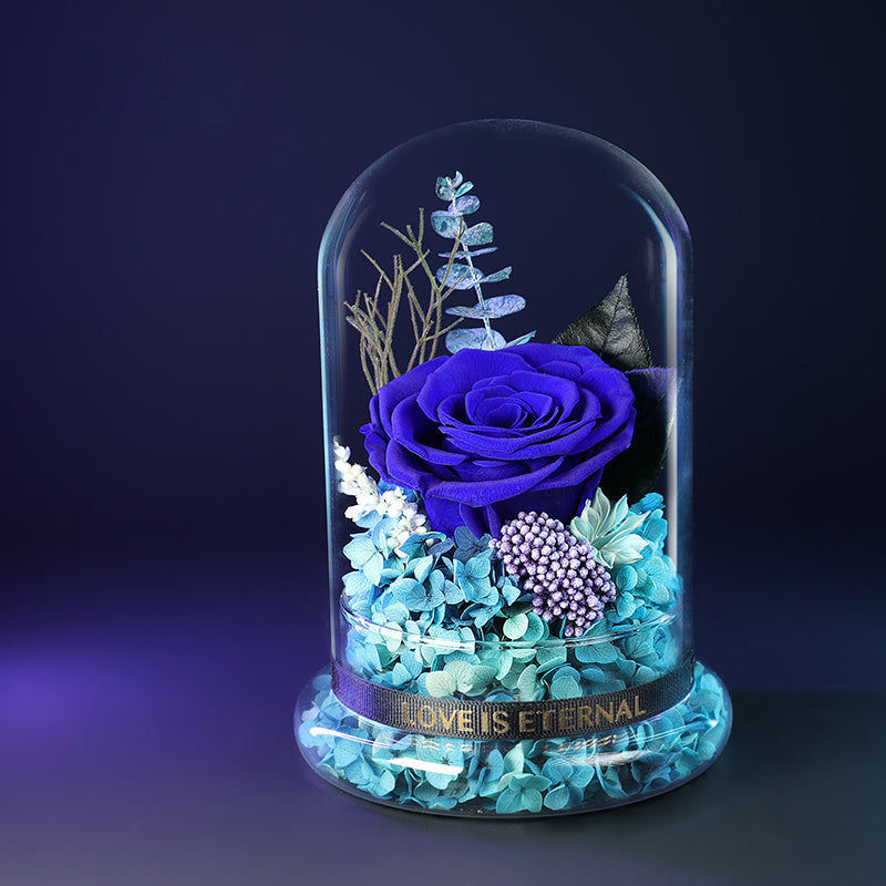 Astricos Timeless Preserved Rose Glass Dome Gift Box - Mystic Blue Enchanted Rose Bouquet for Special Occasions - Astricos