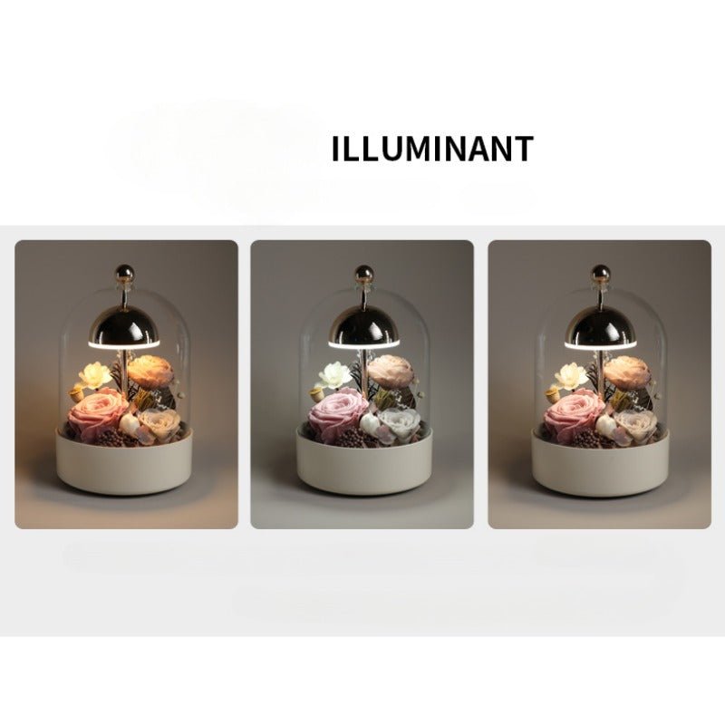 Astricos Elegant Night Light - Exquisite Home Decor and Gift for Her - Astricos