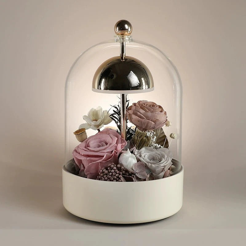 Astricos Elegant Night Light - Exquisite Home Decor and Gift for Her - Astricos