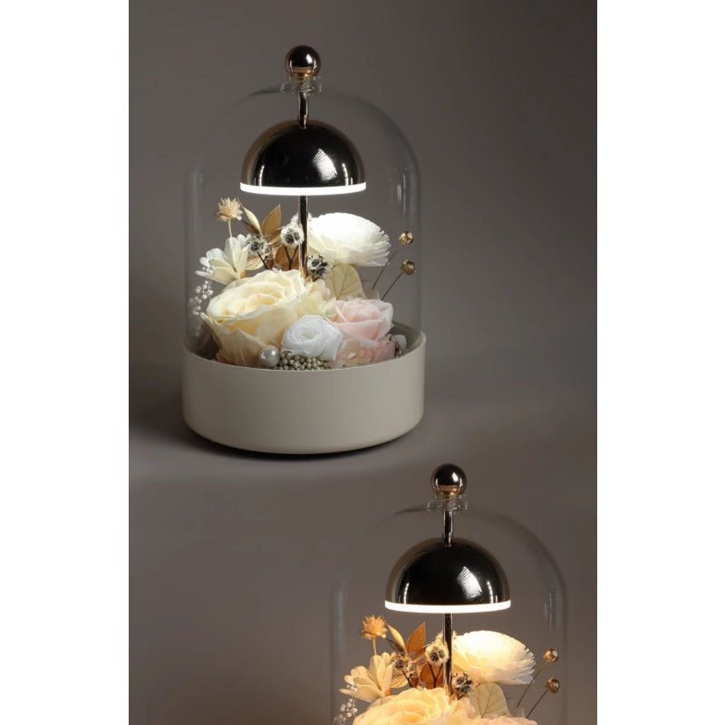 Astricos Elegant Night Light - Exquisite Home Decor and Gift for Her - Astricos