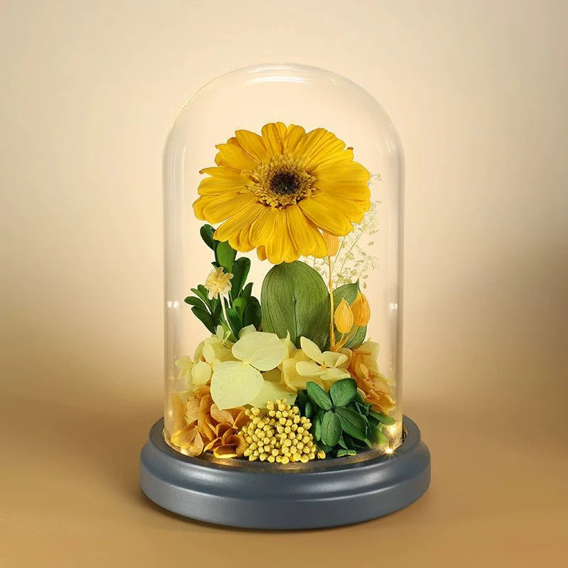 Astricos Glass Dome with Dried Sunflowers and Roses - Timeless Elegance in a Gift Box - Astricos