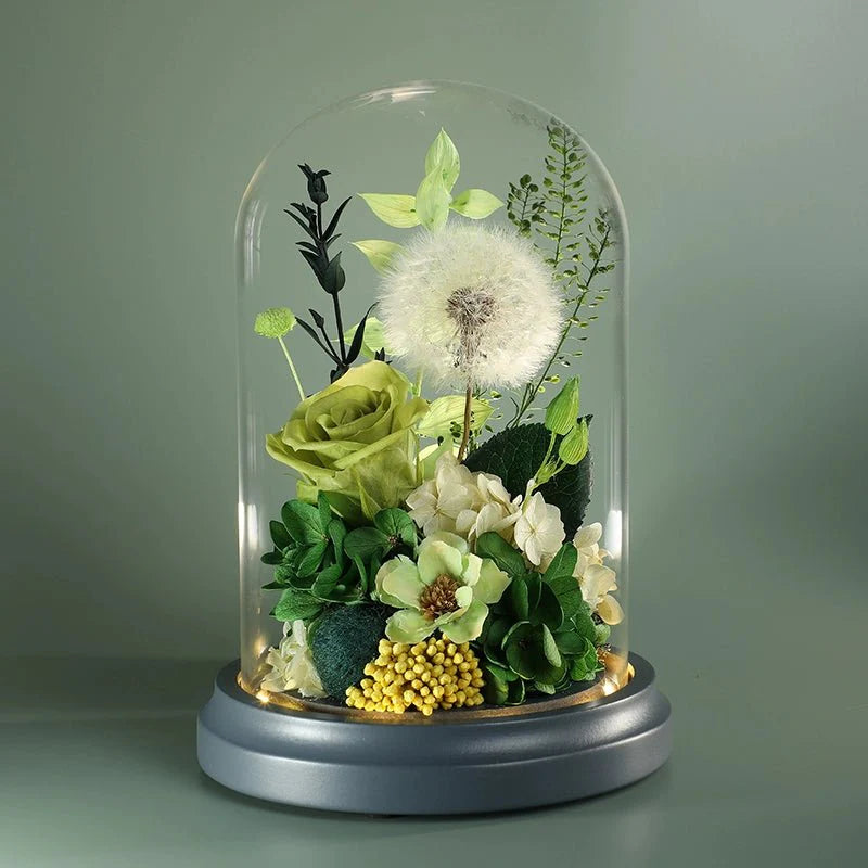 Astricos Glass Dome with Dried Sunflowers and Roses - Timeless Elegance in a Gift Box - Astricos