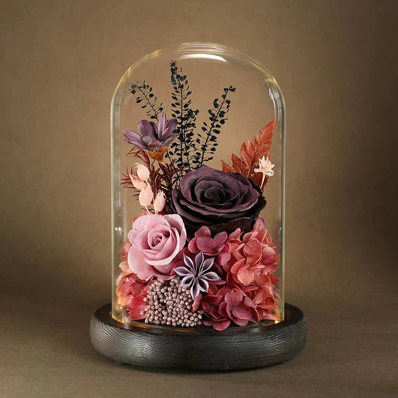 Astricos Eternal Rose Glass Dome - Exquisite Preserved Flower for Enduring Love - Astricos