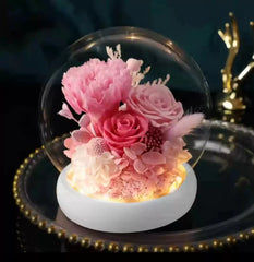 Astricos Eternal Rose Glass Dome - Exquisite Gift for Special Occasions - Astricos