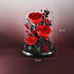 Astricos Eternal Rose Glass Dome - Exquisite Real Flower Decoration for Special Events & Girlfriend Gifts - Astricos