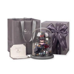 Astricos Zodiac DIMOO Christmas Gift - A Timeless Birthday Surprise for Her - Astricos