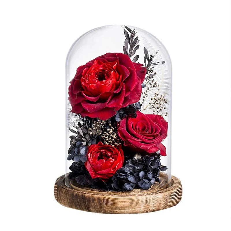 Astricos Timeless Rose Glass Dome - A Gift of Enduring Love and Grace - Astricos