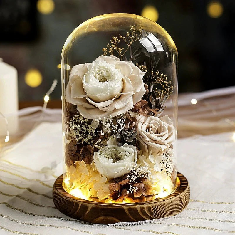 Astricos Timeless Rose Glass Dome - A Gift of Enduring Love and Grace - Astricos