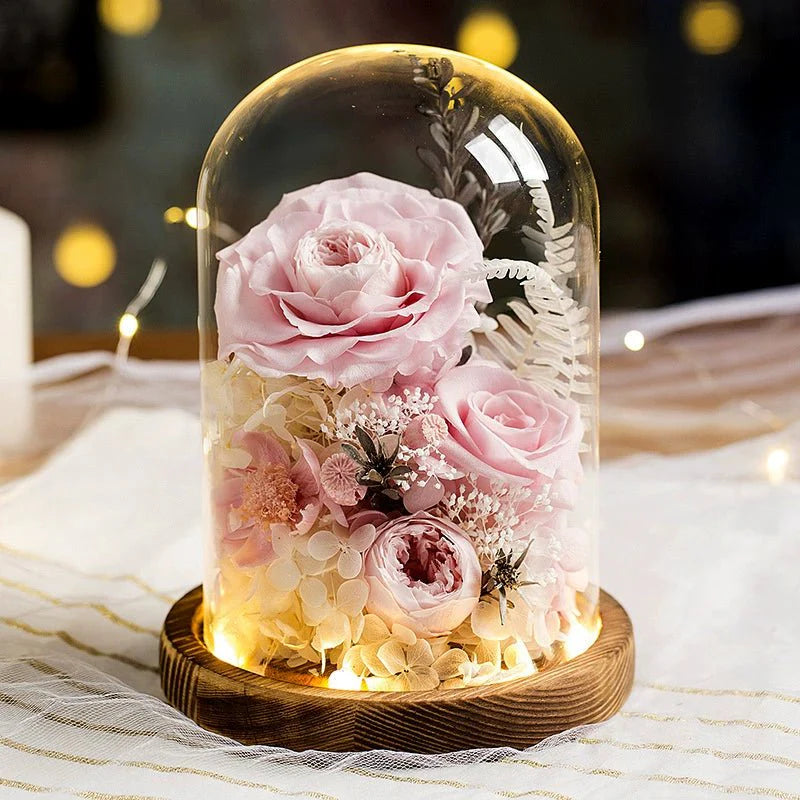 Astricos Timeless Rose Glass Dome - A Gift of Enduring Love and Grace - Astricos