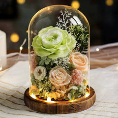 Astricos Timeless Rose Glass Dome - A Gift of Enduring Love and Grace - Astricos