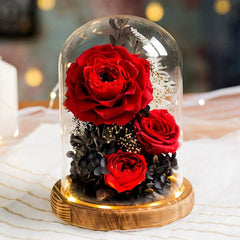 Astricos Timeless Rose Glass Dome - A Gift of Enduring Love and Grace - Astricos