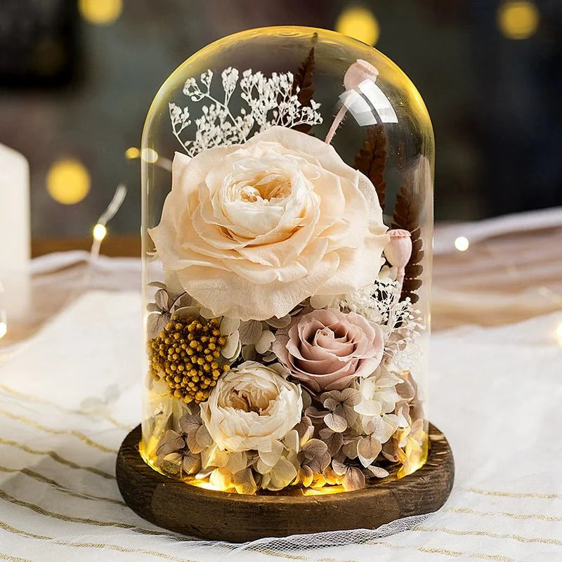 Astricos Timeless Rose Glass Dome - A Gift of Enduring Love and Grace - Astricos